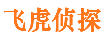 大宁外遇调查取证